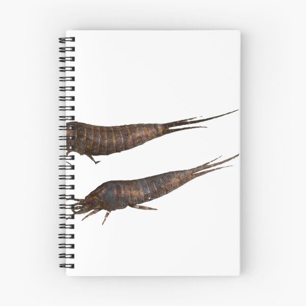 Item preview, Archaeognatha Sticker - Bristletails designed and sold by carterbrown.