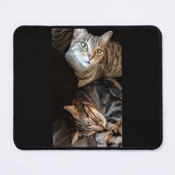 Item preview, Two cats designed and sold by AlphaCentauros.