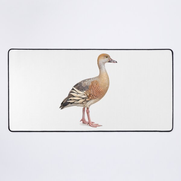 Item preview, Plumed Whistling-Duck Watercolour designed and sold by Jaruart.