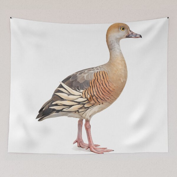 Item preview, Plumed Whistling-Duck Watercolour designed and sold by Jaruart.