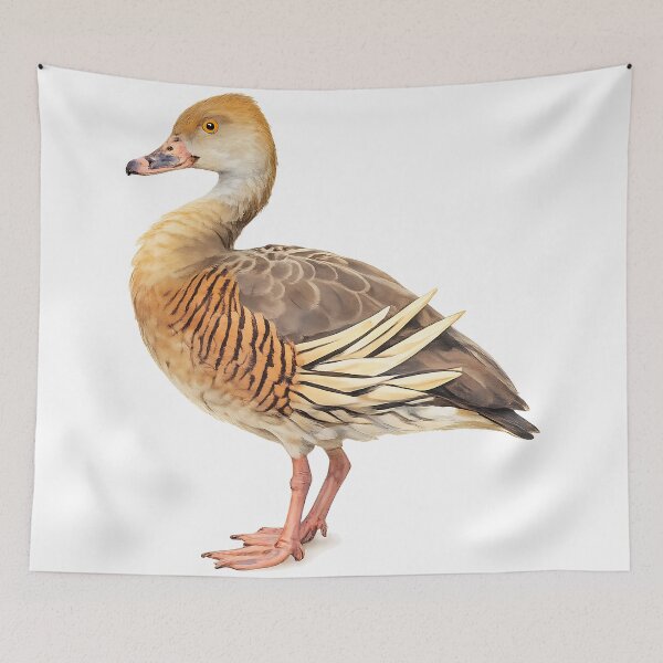 Item preview, Watercolour Plumed Whistling-Duck designed and sold by Jaruart.