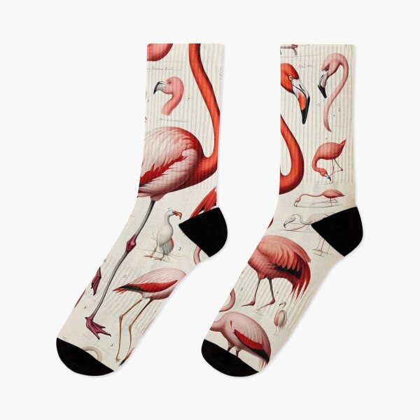 Item preview, Picture plate Flamingo no. 72 designed and sold by Rainer Kristuf.