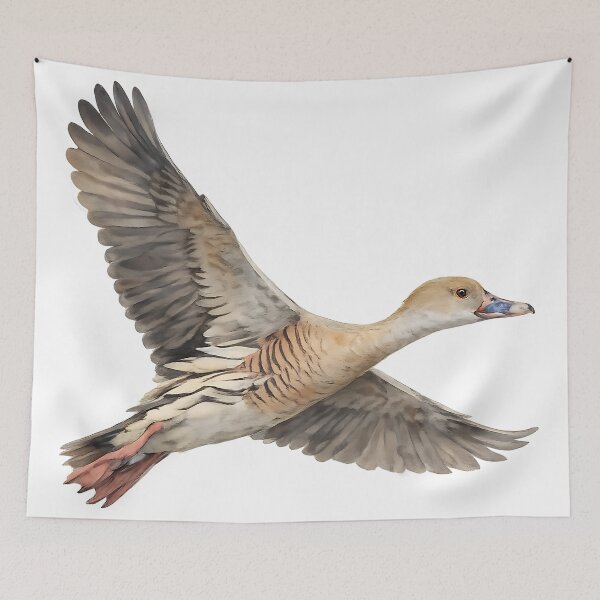 Item preview, Plumed Whistling-Duck in Flight - Watercolour designed and sold by Jaruart.