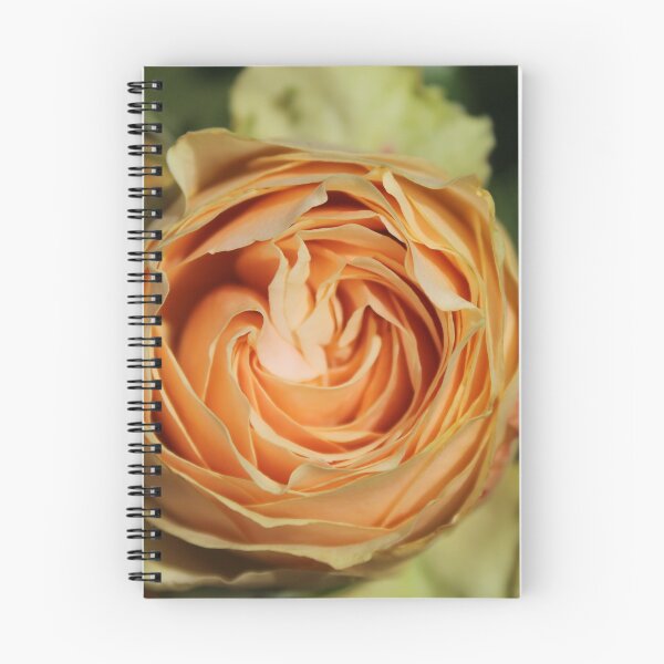 Item preview, Peach spiral rose - Soft nature photography designed and sold by Cha-s-lens.