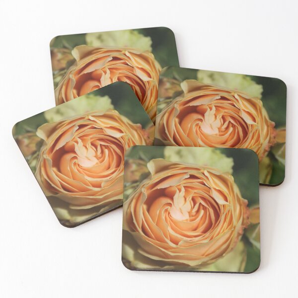 Item preview, Peach spiral rose - Soft nature photography designed and sold by Cha-s-lens.
