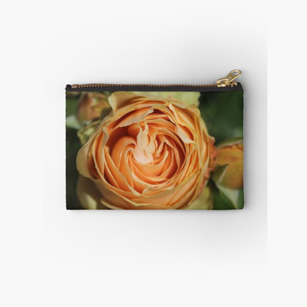 Item preview, Peach spiral rose - Soft nature photography designed and sold by Cha-s-lens.