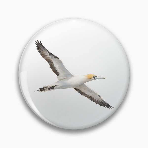 Item preview, Australasian Gannet Watercolour designed and sold by Jaruart.