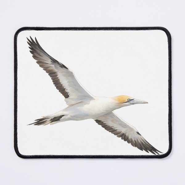 Item preview, Australasian Gannet Watercolour designed and sold by Jaruart.