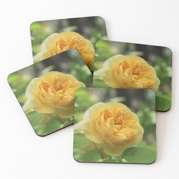 Item preview, Golden english rose - Soft nature photography designed and sold by Cha-s-lens.