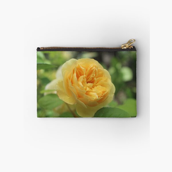 Item preview, Golden english rose - Soft nature photography designed and sold by Cha-s-lens.