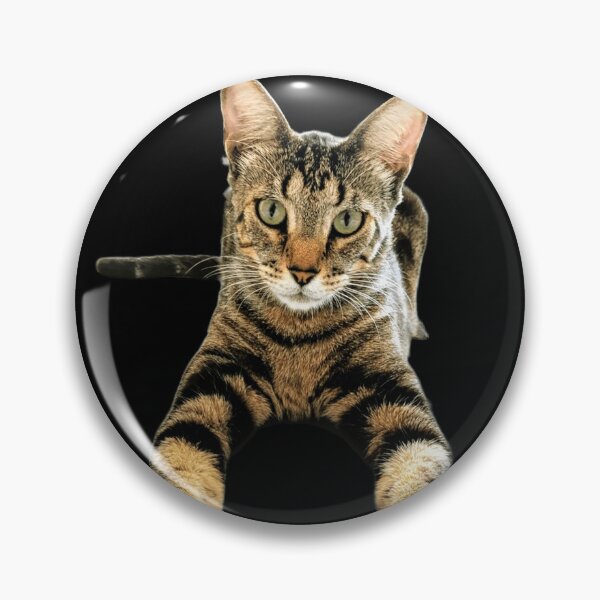 Item preview, Lucas the Cat designed and sold by DOS1221.