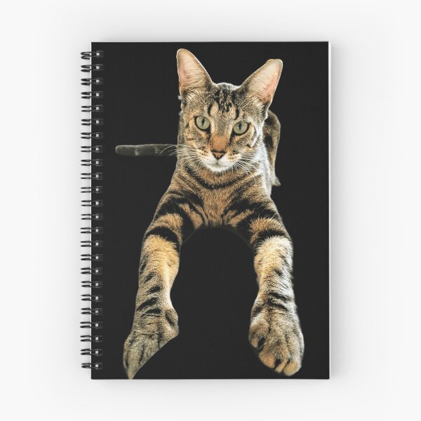 Item preview, Lucas the Cat designed and sold by DOS1221.
