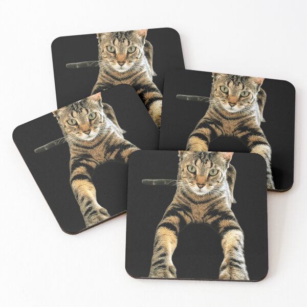 Item preview, Lucas the Cat designed and sold by DOS1221.