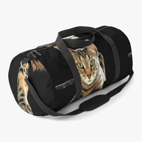 Item preview, Gato Lucas designed and sold by DOS1221.