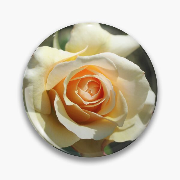 Item preview, Cream apricot rose - Soft nature photography designed and sold by Cha-s-lens.