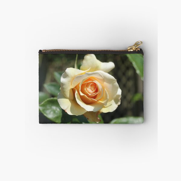 Item preview, Cream apricot rose - Soft nature photography designed and sold by Cha-s-lens.