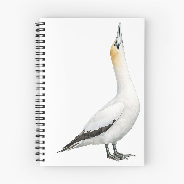 Item preview, Australasian Gannet - Watercolour Study designed and sold by Jaruart.