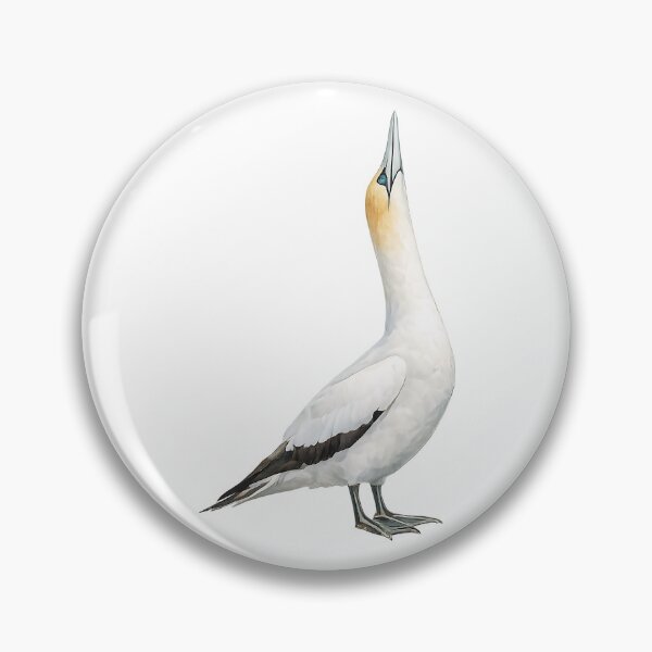Item preview, Australasian Gannet - Watercolour Study designed and sold by Jaruart.