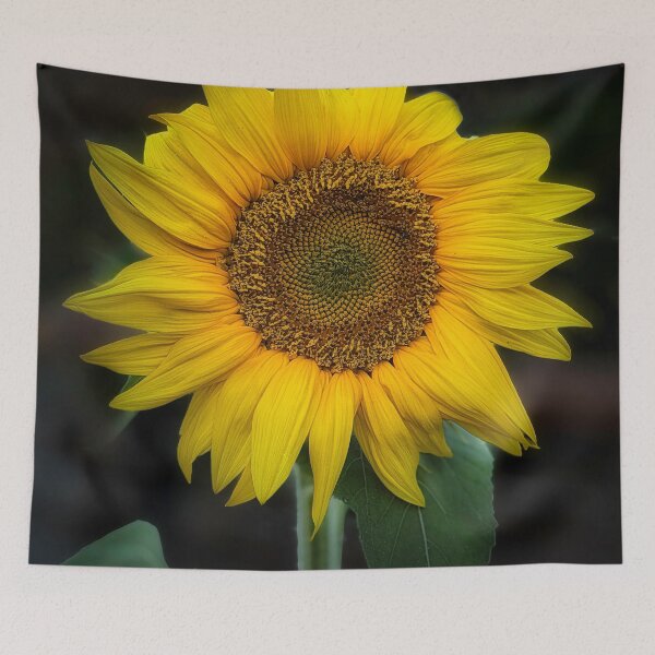 Item preview, Black Hole Sun, Won't You Come? designed and sold by Steve Walser.