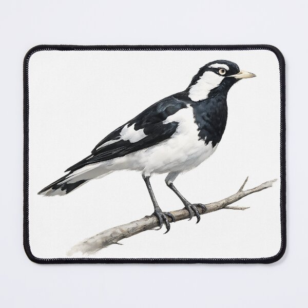 Item preview, Magpie-lark - Watercolour Study designed and sold by Jaruart.
