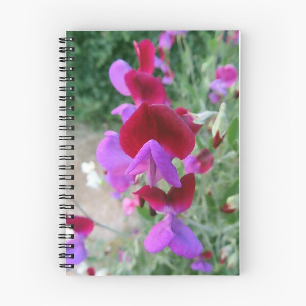 Item preview, Vibrant Sweet Peas designed and sold by Chriscolibaba.