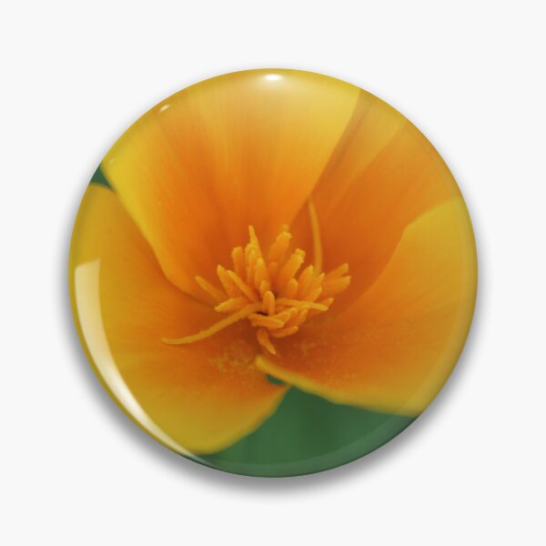Item preview, Amapola dorada de California - Fotografía de naturaleza suave designed and sold by Cha-s-lens.