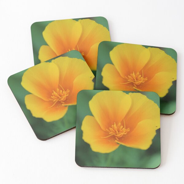 Item preview, Golden californian poppy flower - Soft nature photography designed and sold by Cha-s-lens.
