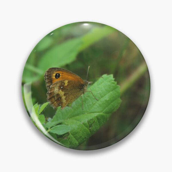 Item preview, Butterfly resting on a leaf - Wildlife photography designed and sold by Cha-s-lens.