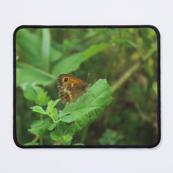 Item preview, Butterfly resting on a leaf - Wildlife photography designed and sold by Cha-s-lens.