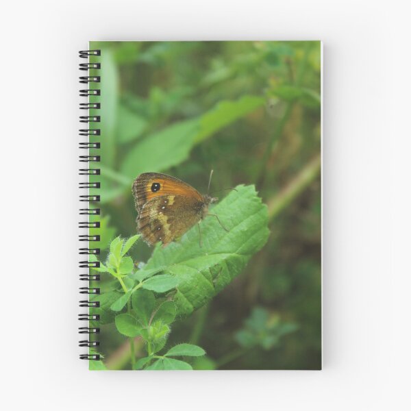 Item preview, Butterfly resting on a leaf - Wildlife photography designed and sold by Cha-s-lens.