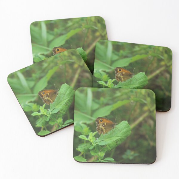 Item preview, Butterfly resting on a leaf - Wildlife photography designed and sold by Cha-s-lens.