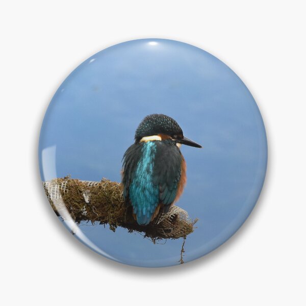 Item preview, Kingfisher Perched Over Still Blue Water designed and sold by Shanguai.