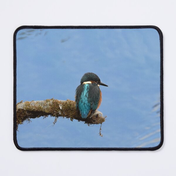 Item preview, Kingfisher Perched Over Still Blue Water designed and sold by Shanguai.