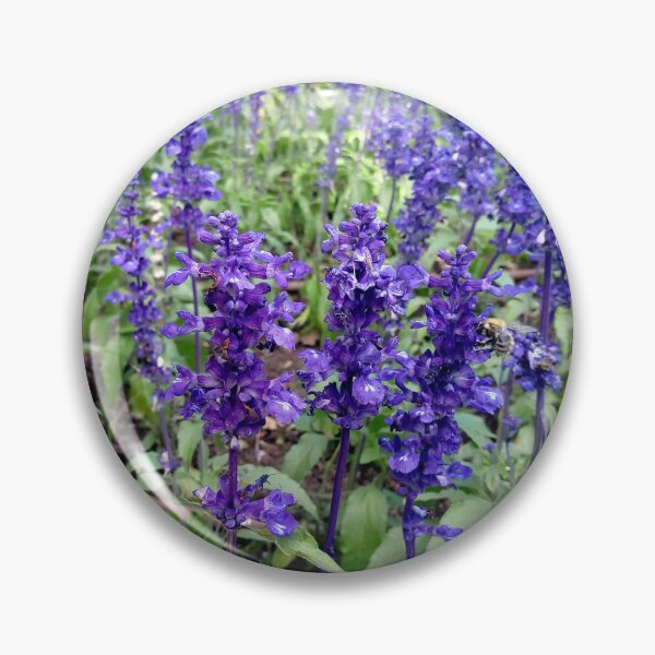 Item preview, Mealycup Sage flowers 1 original artwork designed and sold by paragonDesign28.