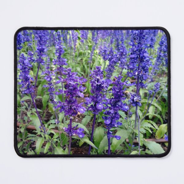Item preview, Mealycup Sage flowers 1 original artwork designed and sold by paragonDesign28.