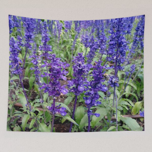 Item preview, Mealycup Sage flowers 1 original artwork designed and sold by paragonDesign28.