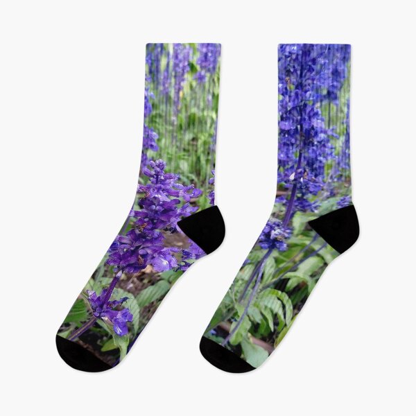 Item preview, Mealycup Sage flowers 1 original artwork designed and sold by paragonDesign28.