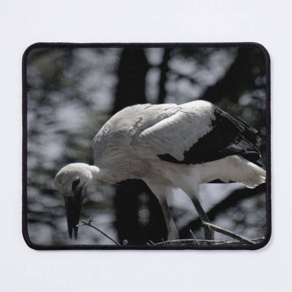 Item preview, Frozen reality - Beautiful nature 901 designed and sold by deep-sea-birds.