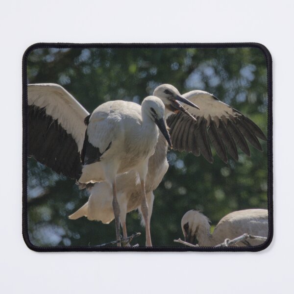 Item preview, Frozen reality - Beautiful nature 902 designed and sold by deep-sea-birds.