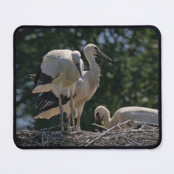 Item preview, Frozen reality - Beautiful nature 903 designed and sold by deep-sea-birds.