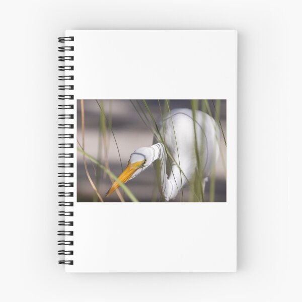 Item preview, Great Heron in Florida designed and sold by Jen O'Steen.