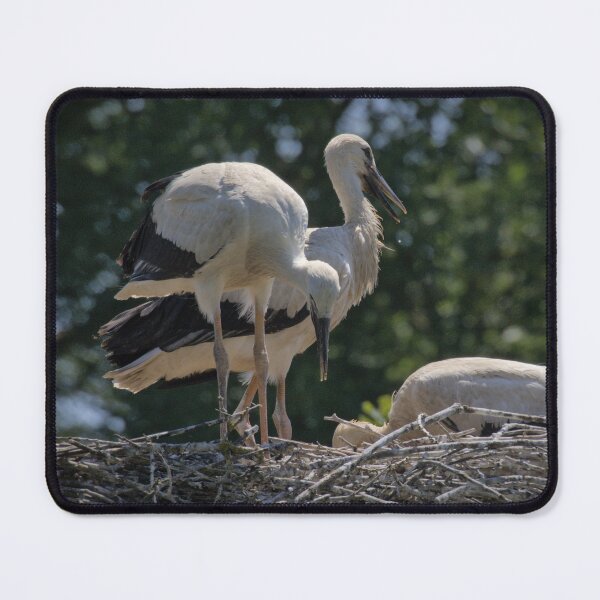 Item preview, Frozen reality - Beautiful nature 904 designed and sold by deep-sea-birds.