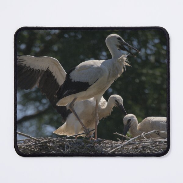 Item preview, Frozen reality - Beautiful nature 905 designed and sold by deep-sea-birds.