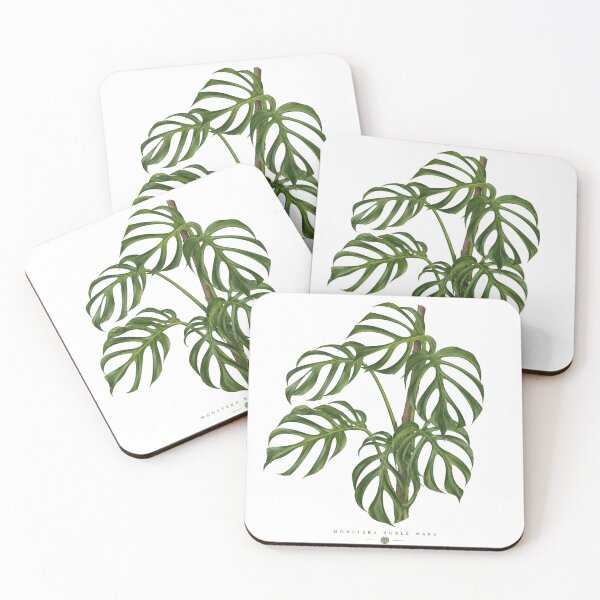 Item preview, Monstera Burle Marx Botanical Illustration  designed and sold by Mikena1996.