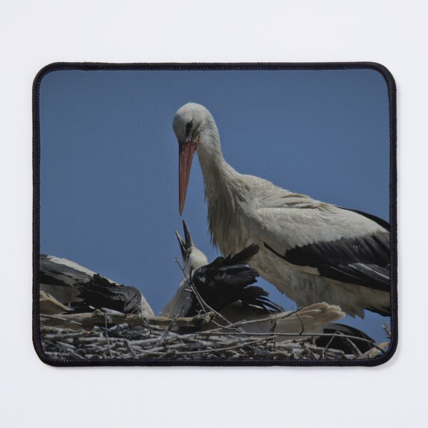 Item preview, Frozen reality - Beautiful nature 906 designed and sold by deep-sea-birds.