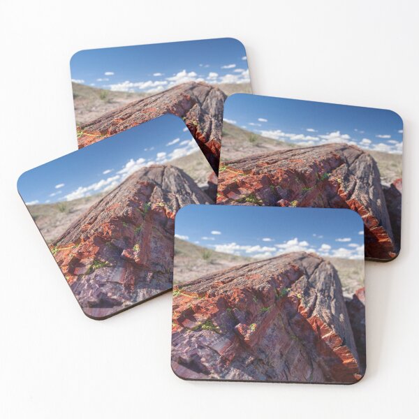 Item preview, Petrified Wood at the Petrified Forest National Park designed and sold by Jen O'Steen.