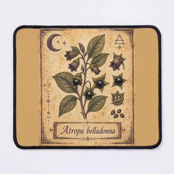 Item preview, Atropa belladonna – Witchy Herbarium Collector’s Edition designed and sold by JOANNASKAH.