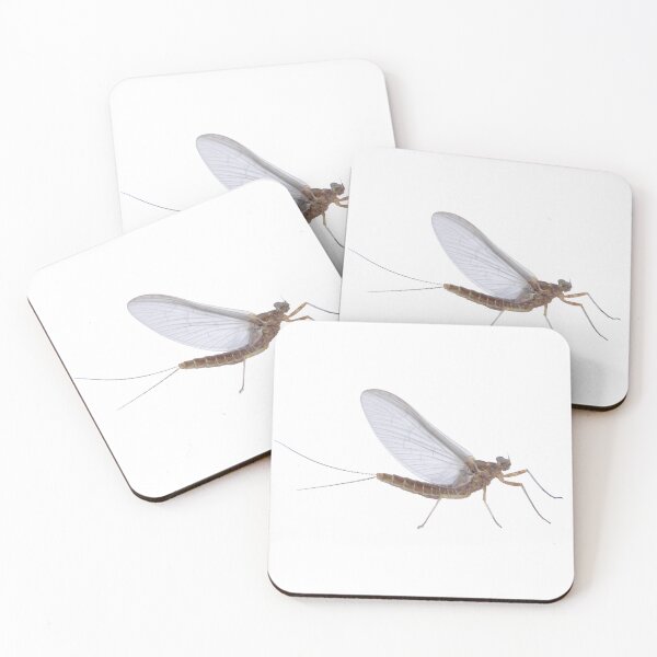 Item preview, Ephemeroptera - mayfly sticker designed and sold by carterbrown.