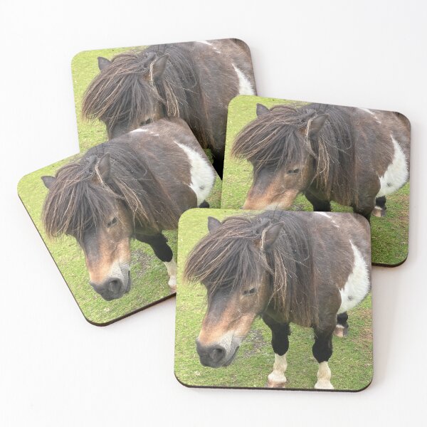 Item preview, Shetland Pony designed and sold by John Corson Photography.
