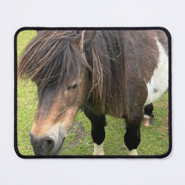 Item preview, Shetland Pony designed and sold by John Corson Photography.